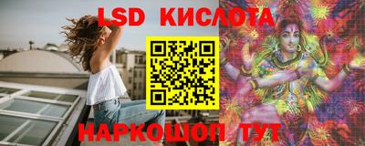 стафф Шелехов