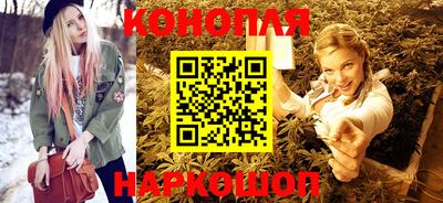 стафф Шелехов