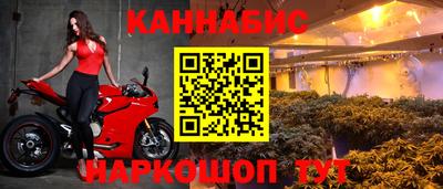 стафф Шелехов