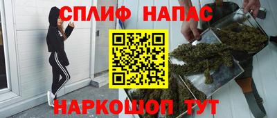 стафф Шелехов