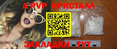 стафф Шелехов