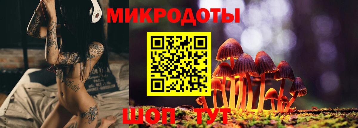 Галлюциногенные грибы Cubensis  Вход с VPN  Елабуга 